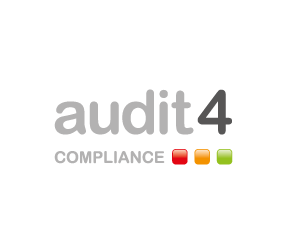 audit logon audit logon