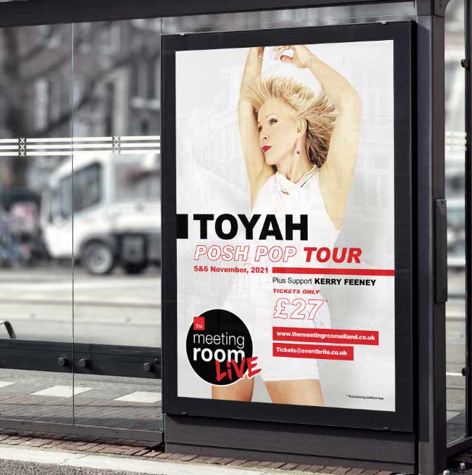 poster of toyah
